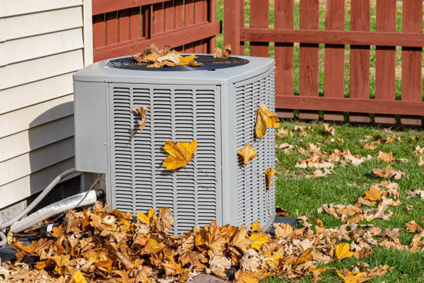 Best HVAC Installation Services  in Sheldon, IL
